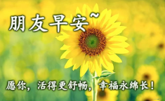 早晨图片大全,早晨图片大全中的美好时光
