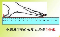 一米等于多少分米,一米等于多少分米的奥秘解析