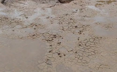 鱼塘现神秘大坑,探究地陷之谜与生态损失