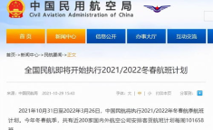 归国计划,从计划到现实