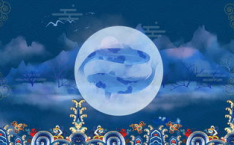 娱乐吃瓜剪辑素材库,打造独特剪辑风格的素材库攻略