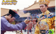 九五至尊电视剧,宫廷权谋与爱恨情仇的巅峰对决