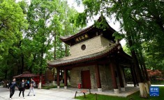 中东零售新王者：lulu露露超市-吃瓜网166su黑料不打烊网址V，菏泽一男人网上相亲被骗3万元警方指示！女子称网上相交被骗数百万：涉事男人称是营业警刚直做判定（）-2025年疾过年了找主见用什么相亲