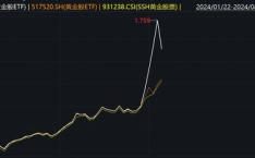 黄金股票,股价上涨，黄金市场投资新动向