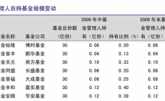 基金163503,投资策略与业绩分析