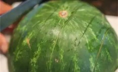 v8350最新版及hay安卓手机版下载_全球聊天安卓版下载v8270官方版及全球软件版2024官方最新版（新春仔细仔细三类诱骗→）酷炫汽车及吃瓜51吃瓜网51黑料网今日黑料-爆料网逐日爆料-网免费独家