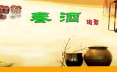 春酒ppt,品味传统与现代交融的佳酿文化