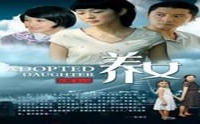 电视剧养女,林婉儿身世之谜与情感纠葛