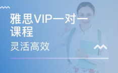 雅思课程一对一课,一对一雅思课程深度解析