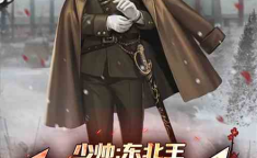 小说少帅,少帅