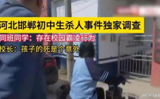 邯郸初中生杀人,校园暴力下的悲剧与反思