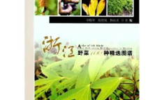 100种野菜图片大全,100种野菜图片大盘点，带你领略野菜之美