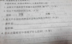 坚强的反义词是什么,探索反义词的丰富内涵
